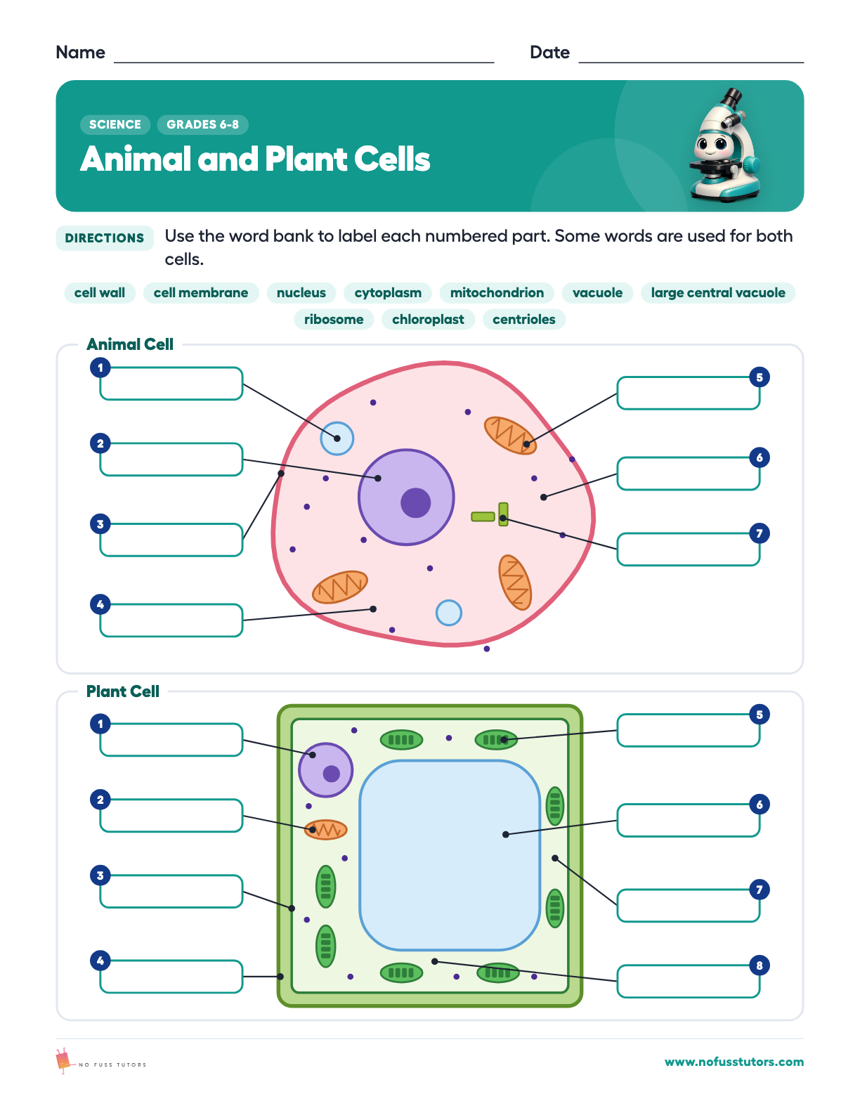 Animal and Plant Cells Science worksheet preview