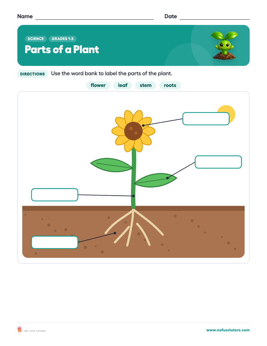 Parts of a Plant Science worksheet preview