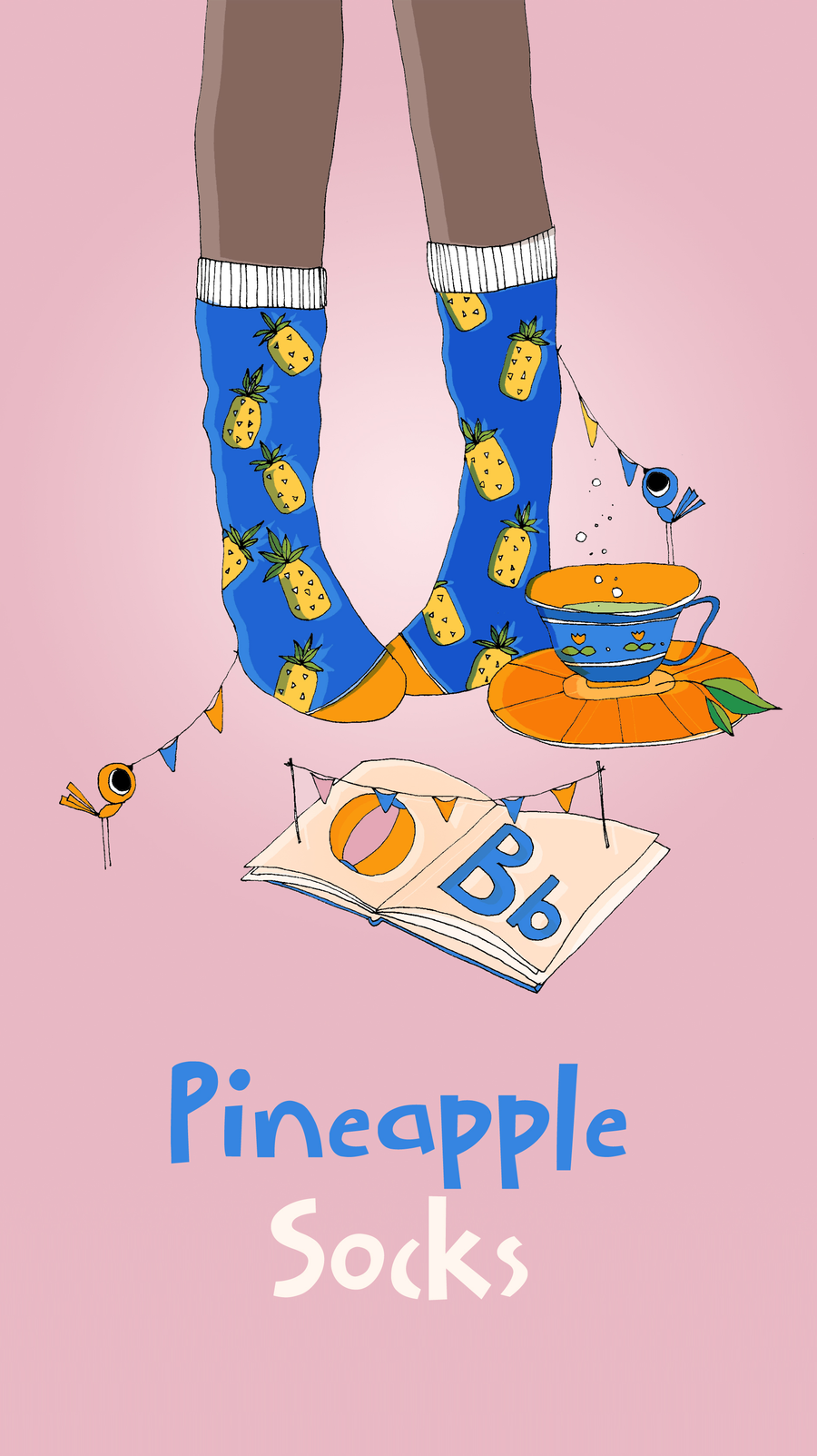 Pineapple Socks Level D book cover
