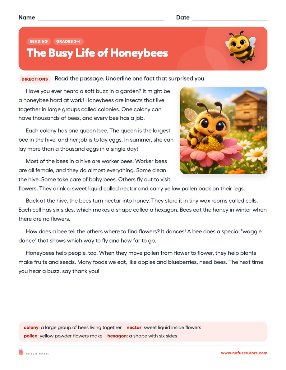 The Busy Life of Honeybees Reading worksheet preview