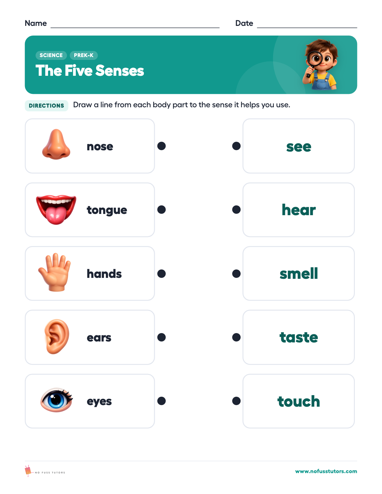 The Five Senses Science worksheet preview