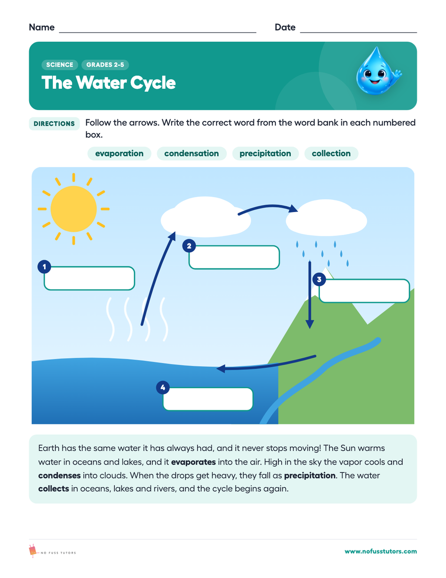 The Water Cycle Science worksheet preview
