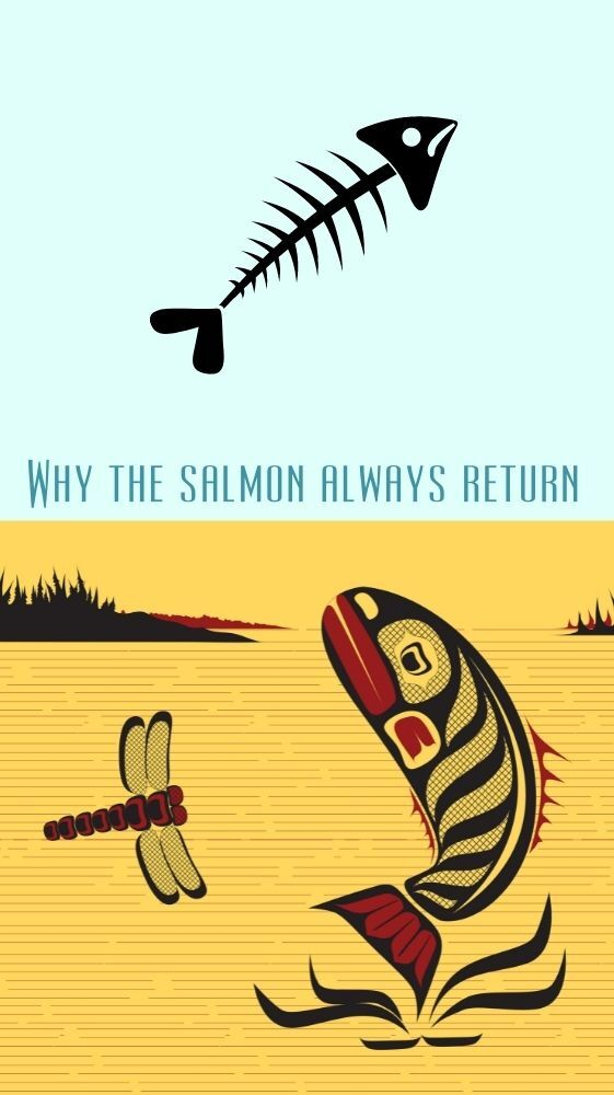 Why the Salmon Always Return Level H book cover